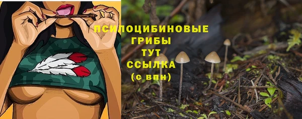 винт Армянск