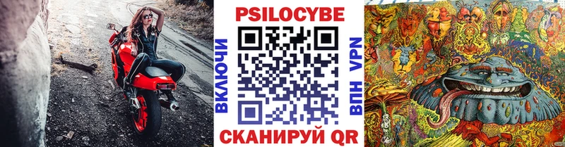 Галлюциногенные грибы MAGIC MUSHROOMS  Купить закладки  Новосокольники 